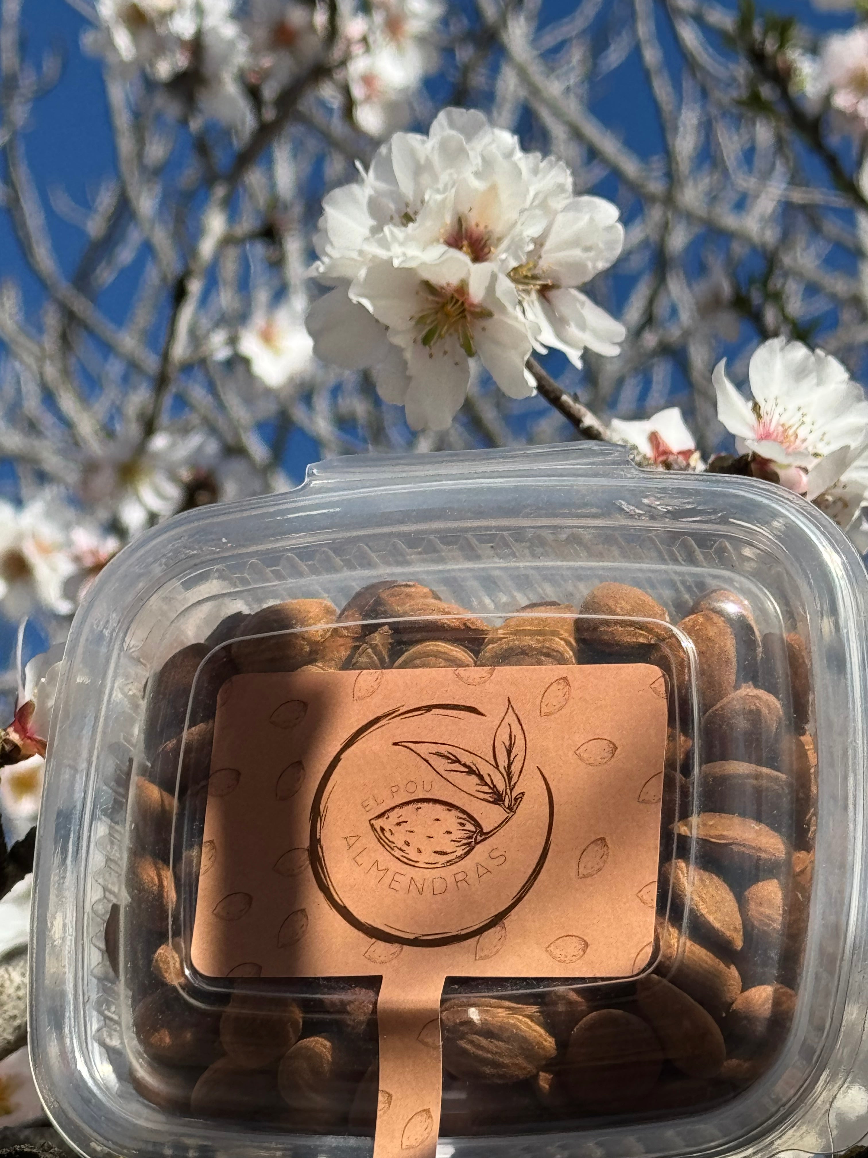 2 Kg Almendra Marcona Nacional