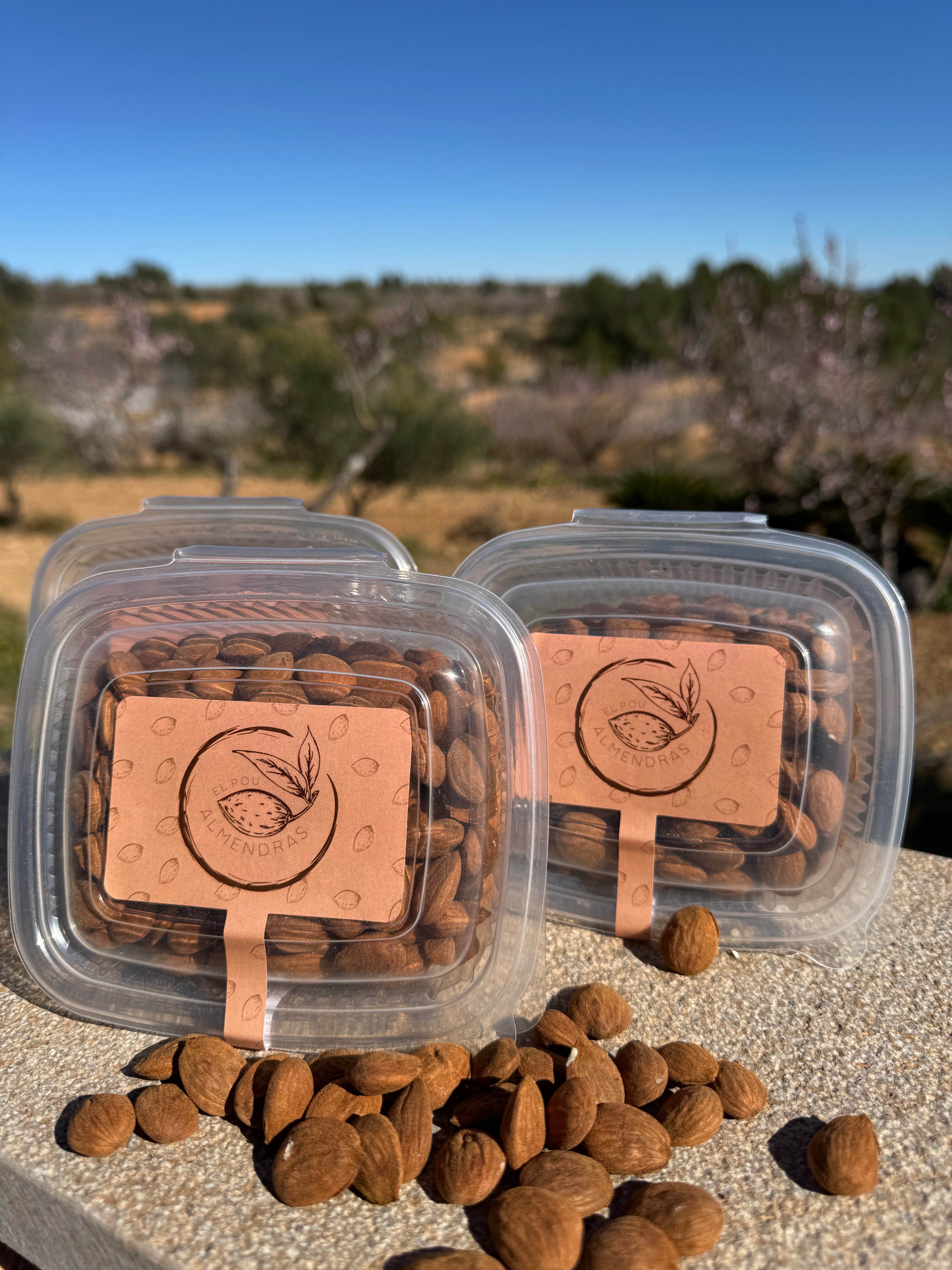2 Kg Almendra Marcona Nacional